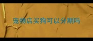 宠物店买狗可以分期吗
