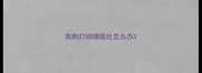 狗狗打喷嚏呕吐怎么办