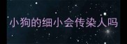 小狗的细小会传染人吗