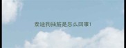 泰迪狗抽筋是怎么回事