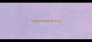 拉布拉多拉稀有白色长长