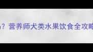 哈士奇能吃橘子吗营养师犬类水果饮食全攻略附安全食谱