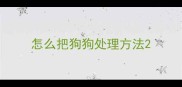 怎么把狗狗处理方法