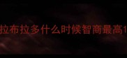 拉布拉多什么时候智商最高