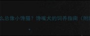 拉布拉多为什么总像小馋猫馋嘴犬的饲养指南附防贪吃训练法
