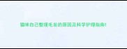 猫咪自己整理毛发的原因及科学护理指南