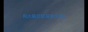 狗大脑炎疫苗多少钱