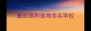 重庆银利宠物美容学校