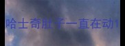 哈士奇肚子一直在动