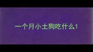 一个月小土狗吃什么