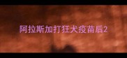 阿拉斯加打狂犬疫苗后