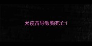 犬疫苗导致狗死亡