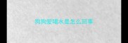狗狗爱喝水是怎么回事