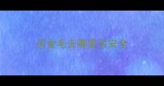 买金毛去哪里买安全