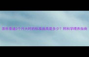 茶杯泰迪3个月大时的标准肩高是多少附科学喂养指南