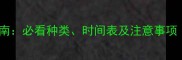 猫咪疫苗年度接种指南必看种类时间表及注意事项附疫苗知识大全