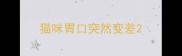 猫咪胃口突然变差