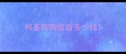 柯基狗狗疫苗多少钱