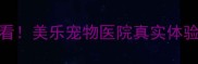 嘉兴选宠物医院必看美乐宠物医院真实体验分享附避坑指南