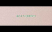 金毛几个月能吃钙片