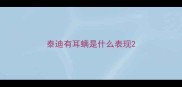 泰迪有耳螨是什么表现