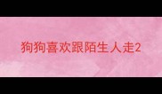 狗狗喜欢跟陌生人走