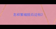 怎样繁殖陨石边牧