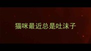 猫咪最近总是吐沫子