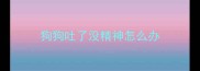 狗狗吐了没精神怎么办