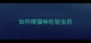 如何喂猫咪吃驱虫药