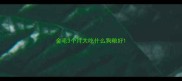 金毛3个月大吃什么狗粮好