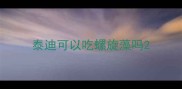 泰迪可以吃螺旋藻吗
