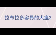 拉布拉多容易的犬瘟