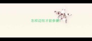 怎样边牧才能参赛