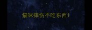猫咪摔伤不吃东西