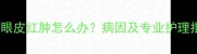 猫咪眼皮红肿怎么办病因及专业护理指南