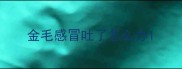 金毛感冒吐了怎么办