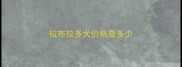 拉布拉多犬价格是多少