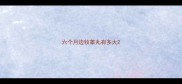 六个月边牧睾丸有多大