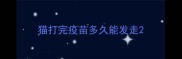 猫打完疫苗多久能发走
