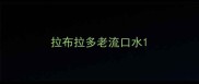 拉布拉多老流口水