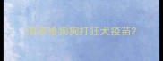南京给狗狗打狂犬疫苗