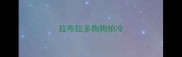 拉布拉多狗狗怕冷