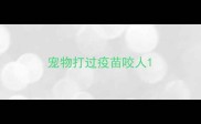 宠物打过疫苗咬人