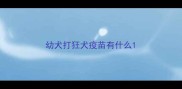 幼犬打狂犬疫苗有什么