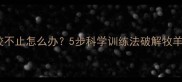 边牧幼犬扑咬不止怎么办5步科学训练法破解牧羊犬小恶魔期