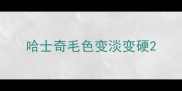 哈士奇毛色变淡变硬