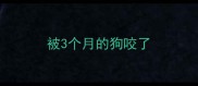 被3个月的狗咬了