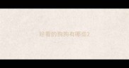 好看的狗狗有哪些