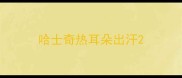哈士奇热耳朵出汗